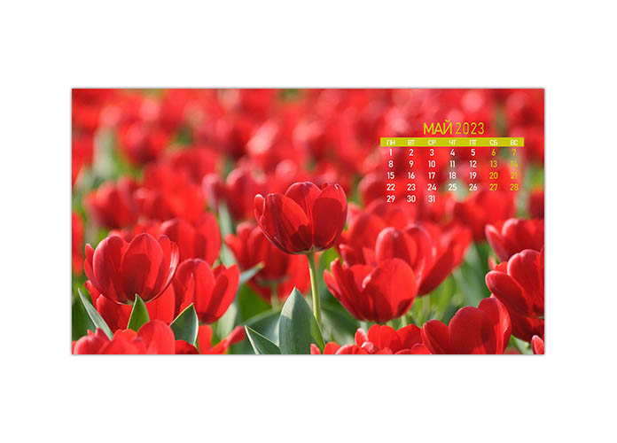 oboi-calendar-mai-2023-ico