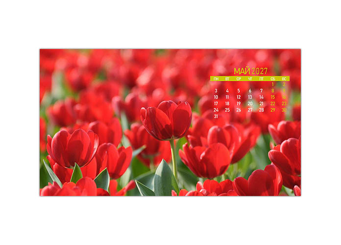 oboi-calendar-mai-2027-ico